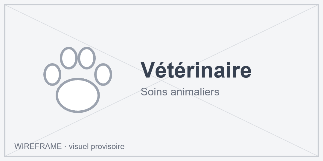 Visuel provisoire : Vétérinaire, soins animaliers