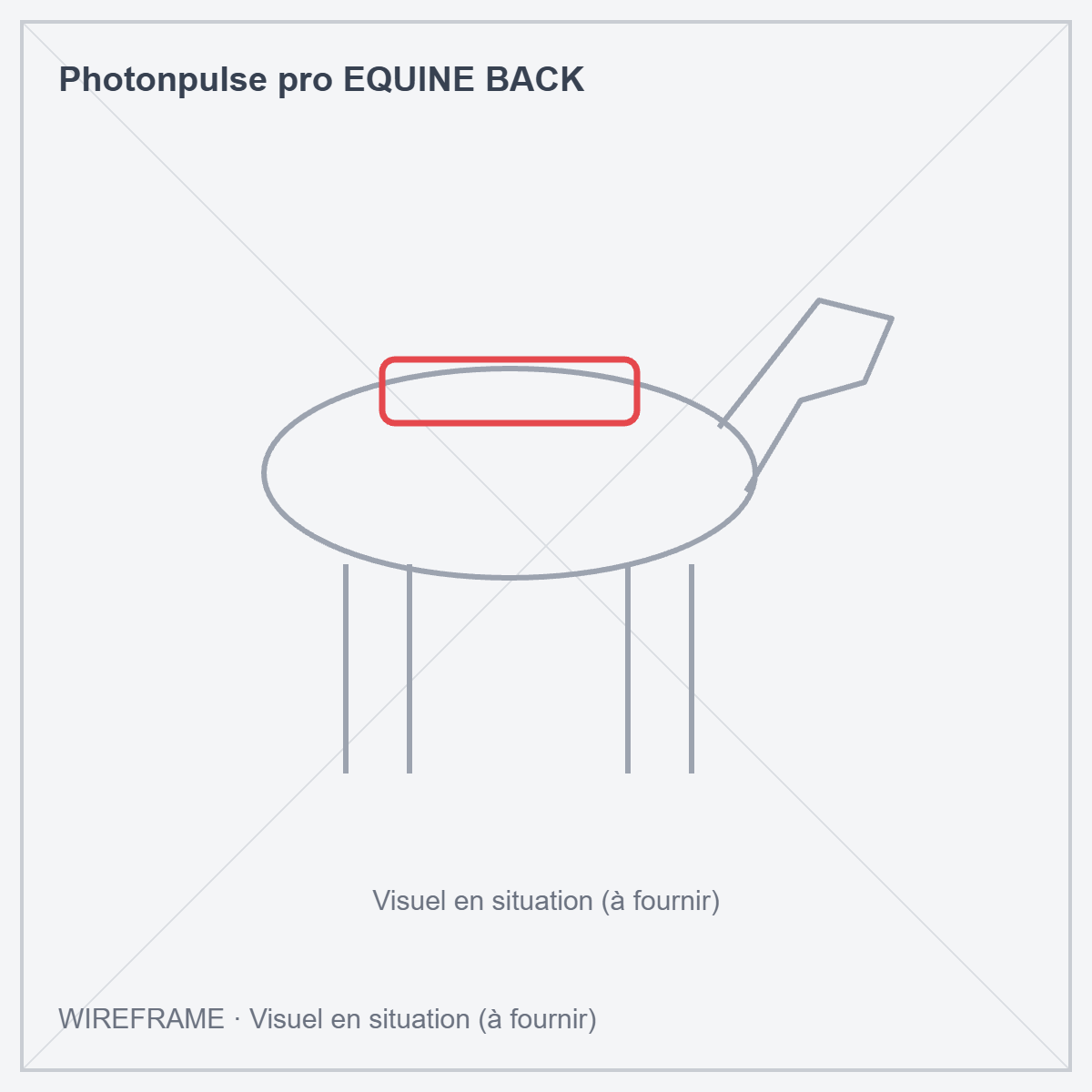 Photonpulse pro EQUINE BACK · Wireframe : visuel en situation à fournir