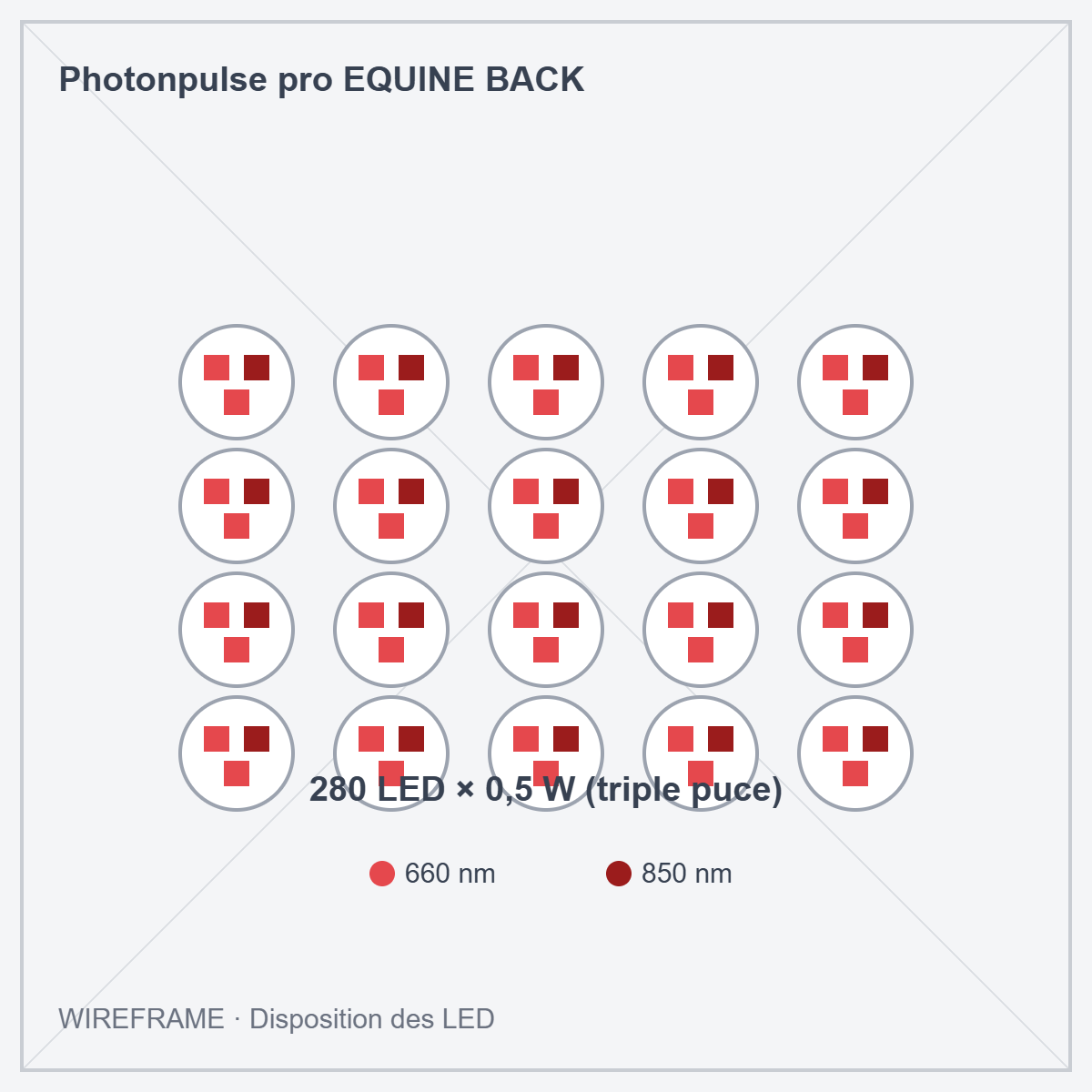 Photonpulse pro EQUINE BACK · Wireframe : disposition des LED