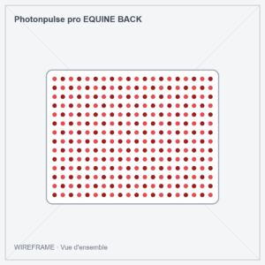 Photonpulse pro EQUINE BACK · Wireframe : vue d'ensemble