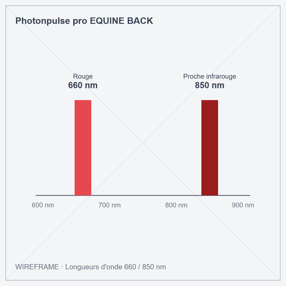 Photonpulse pro EQUINE BACK · Wireframe : longueurs d'onde 660 et 850 nm